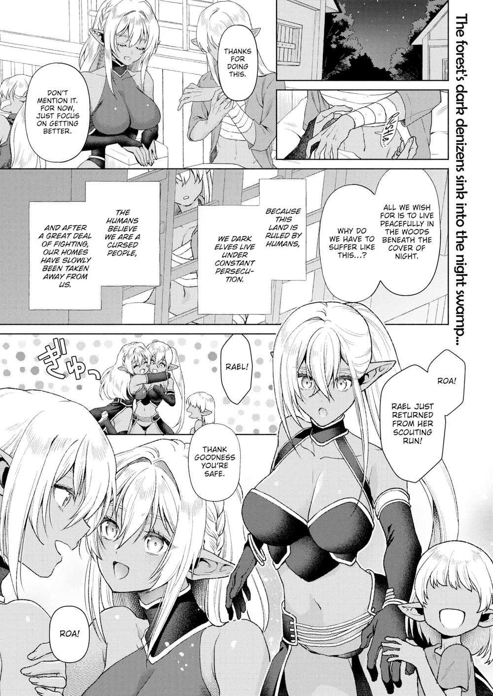 Fallen Twin Princesses page 0